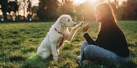 Dog Hand Signals