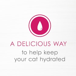 A delicious way to help keep your cat hydrated