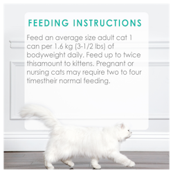 Feeding Recommendations