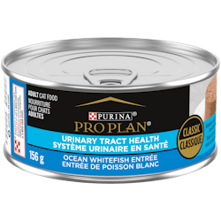 Pro Plan® Adult Urinary Tract Health Formula Ocean Whitefish Entrée Wet Cat Food