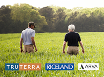 Two men walking in a field