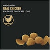 Real Chicken