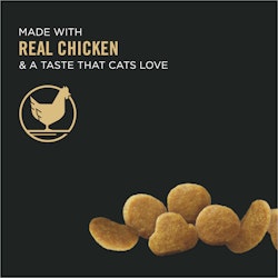 Real Chicken