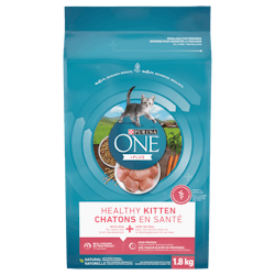 Purina ONEᴹᴰ Chatons en Santé Nourriture pour Chats