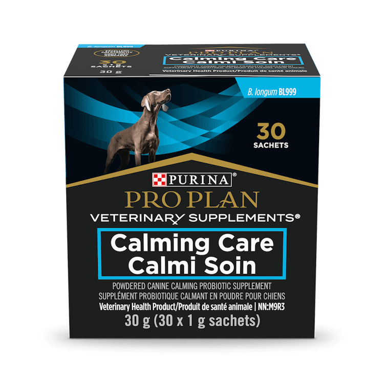 Calming Care Canine Probiotic Supplement