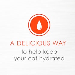 A delicious way to help keep your cat hydrated