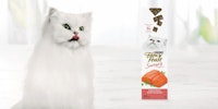 fancy feast cat with product