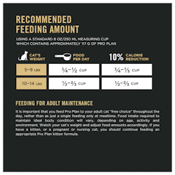 Feeding Amounts