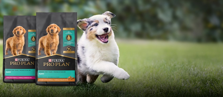 Pro Plan Puppy Food Hero Banner