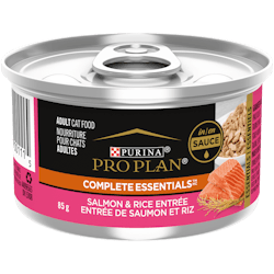 Pro Plan® Complete Essentials™ Adult Salmon & Rice Entrée in Sauce Wet Cat Food