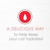 A delicious way to help keep your cat hydrated