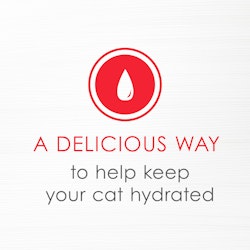 A delicious way to help keep your cat hydrated