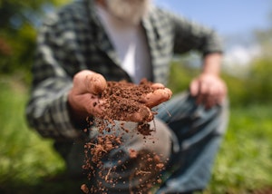 Supporting Soil Health 