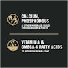 Calcium and Phosphorus