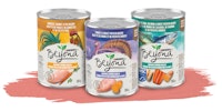 Beyond Grain Free Wet Dog Food Ground