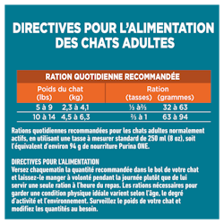 Directives Pour L'alimentation des chats adultes