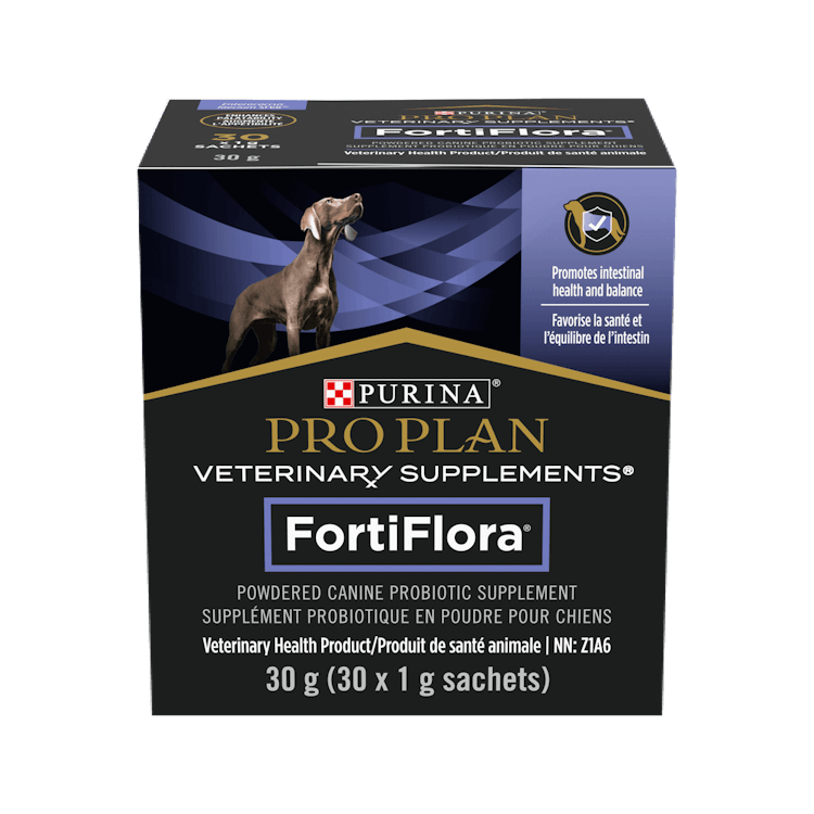 Supplément probiotique FortiFlora🅫 en Poudre pour chiens