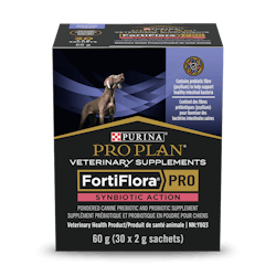 Supplément probiotique en poudre pour chiens FortiFlora🅫 Synbiotic Action