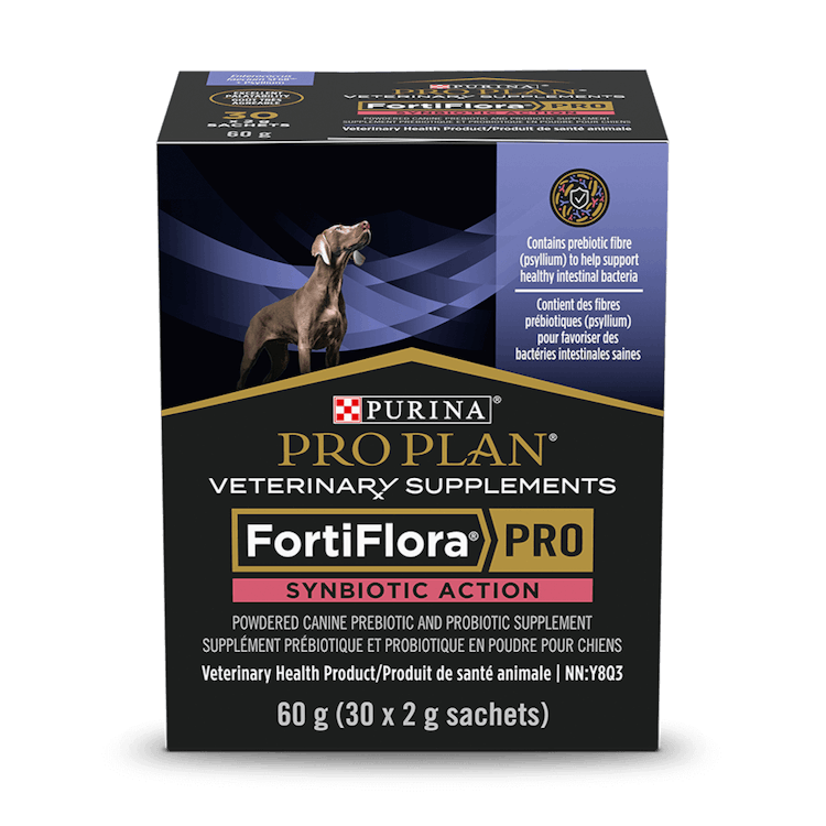 Supplément prébiotique et probiotique en poudre FortiFlora PRO Synbiotic action🅫 pour chiens