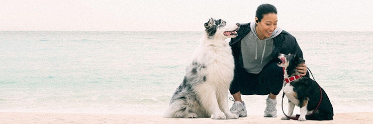 Woman with two dogs