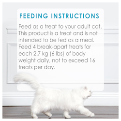 Feeding Recommendations