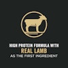 Real lamb as the first ingredient