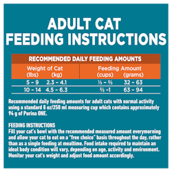 Adult Cat Feeding Instructions