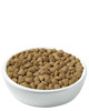 pro-plan-focus-urinary-tract-health-kibble