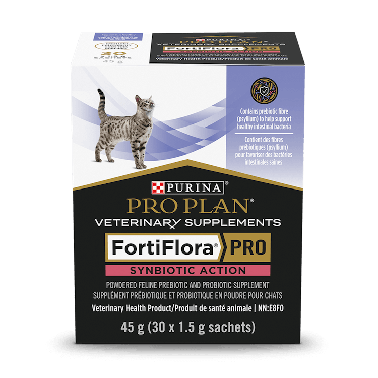 Supplément prébiotique et probiotique en poudre FortiFlora PRO Synbiotic Action🅫 pour chats