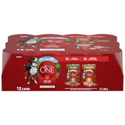 Purina ONE SmartBlend Tender Cuts in Gravy Dog Food Variety Pack with Chicken & Lamb