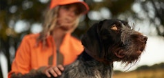 dresseur avec chien