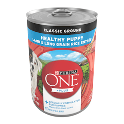 Purina ONEᴹᴰ Plus+ Chiots en Santé Moulue Classique Entré d'Agneau et de Riz à Grains Longs Nourriture pour Chiens