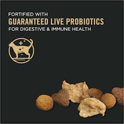 Live Probiotics