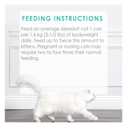 Feeding Recommendations