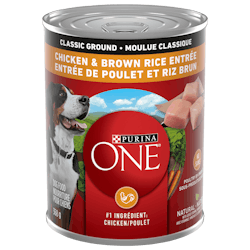 Purina ONEᴹᴰ Moulue Classique Entrée de Poulet et Riz Brun Nourriture pour Chiens