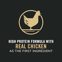 Real chicken as the first ingredient