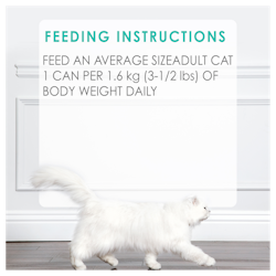 Feeding Recommendations