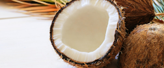 Une noix de coco