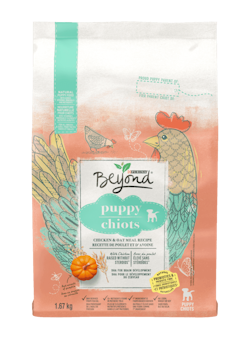 Beyond® Puppy Chicken & Oat Meal Recipe Dry Dog Food