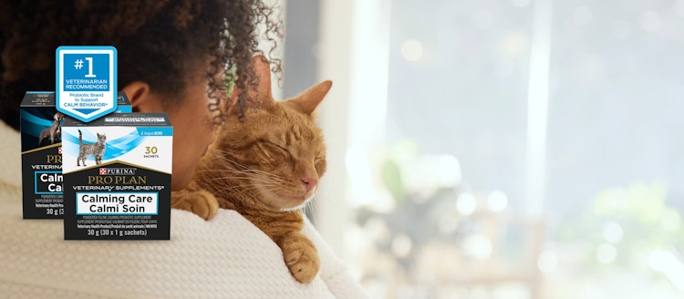 woman and sleepy cat