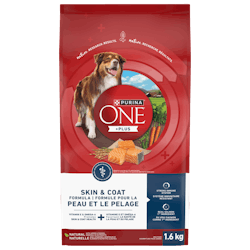 Purinaᴹᴰ ONEᴹᴰ +Plus Formule pour la Peau et le Pelage Nourriture pour Chiens