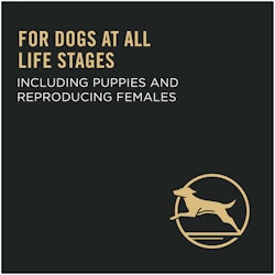 For dogs at all life stages