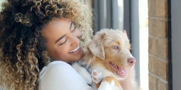 Woman holding her puppy wondering how often to feed a puppy