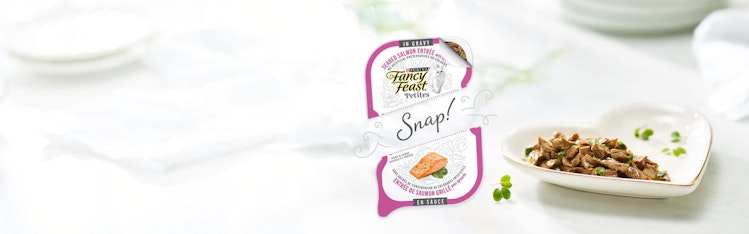 Fancy feast petites banner