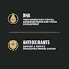 DHA and antioxidants