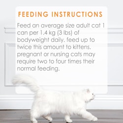 Feeding Recommendations