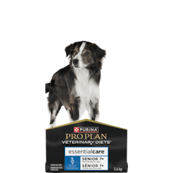 essentialcare® Senior Dry Formula for Dogs