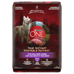 Purina ONE🅫 Véritable Instinct avec Vrai Boeuf et Vrai Bison Nourriture Sèche pour Chiens