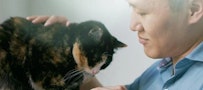 man petting a calico cat