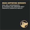 Brain Supporting Nutrients